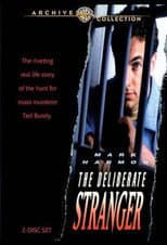 Miniseries poster