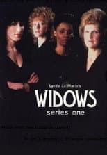 Series 1 poster