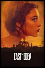 Limited Series poster