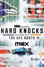 The AFC North poster