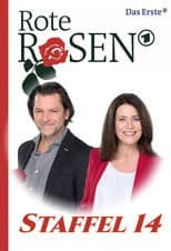 Season 14 poster