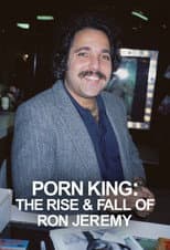 Miniseries poster