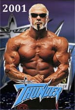 Season 4 - 2001 poster