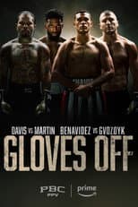 Davis vs. Martin & Benavidez vs. Gvozdyk poster