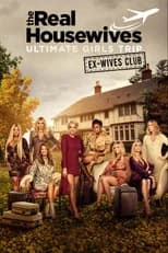 Ex-Wives Club poster