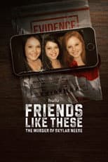 Miniseries poster