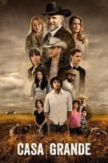 Miniseries poster