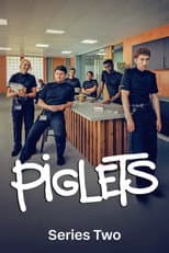 Series 2 poster