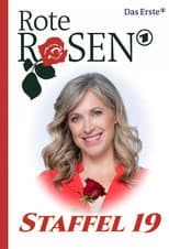 Season 19 poster