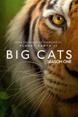 Miniseries poster