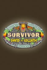 David vs. Goliath poster