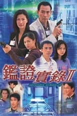 鑑證實錄 II poster