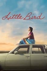 Limited Series poster