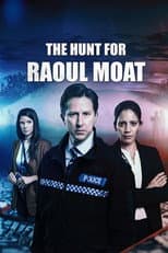 Miniseries poster