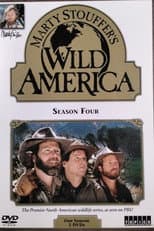 Season 4 poster