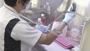 Hiroshima: Solving the Genetic Puzzle