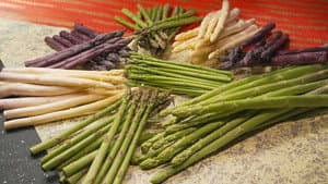 ASPARAGUS