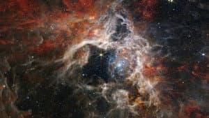 Journeying into the Unknown