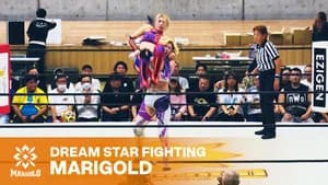 Marigold DREAM✴︎STAR Grand Prix 2026 ~ Day 6
