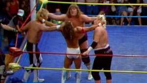 WCCW - June 18, 1988