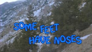 Some Feet have Noses