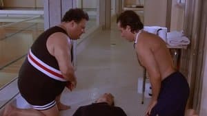 The Pool Guy