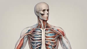 An Unusual Journey into the Human Body