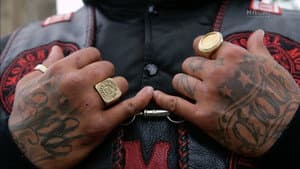 New Zealand's Gang Explosion