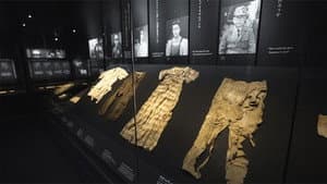 A New Peace Memorial Museum: Passing on Hiroshima's Message