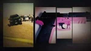 The Pink Gun Mystery