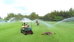 The Economist