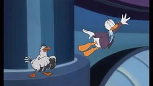 Donald Wants to Fly