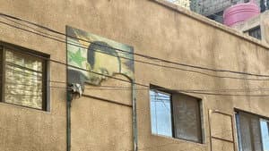 Special Syria Report: Syria: The Stolen Children of the Dictatorship / Syria: On the Trail of ISIS