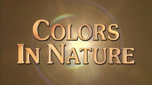 Colors in Nature