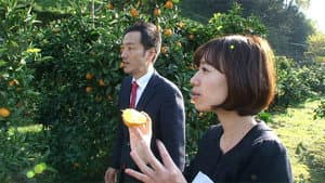 Medical Meals-on-Wheels - Kosuke Abe