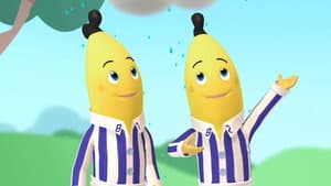 The Rainmakers