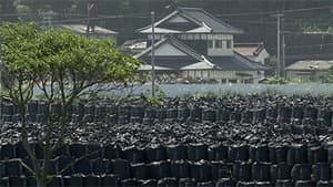 Fukushima Fallout: Tracking the Radioactive Waste
