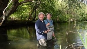River Itchen, Hampshire - Wild Brown Trout