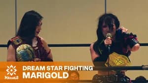 Marigold Burning Desire 2026 ~ Day 13