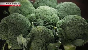 Broccoli