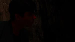 The Sewer