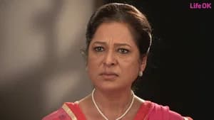 An Article On Shobha