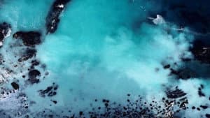Resurgence of the Seas: Natural Spectacles in Northern Waters