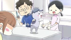 The Vet