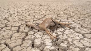 2030 At a Crossroads to the Future: Hunger Pandemic - The Catastrophic Cost of Excess