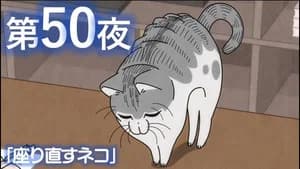 Night 50: A Cat Makes Itself Comfortable