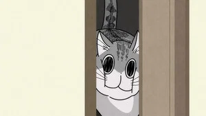 Night 17: Cats Can Pass Through If Their Heads Pass Through