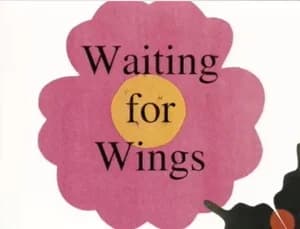 Waiting for Wings