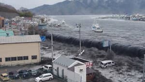 Black Tsunami