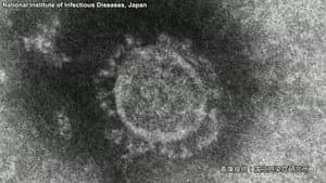 COVID-19: Fighting a Pandemic